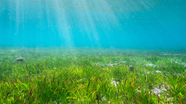 Leben mit dem (Hoch)Wasser