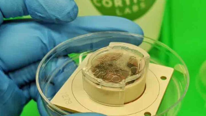 When computers learn to live